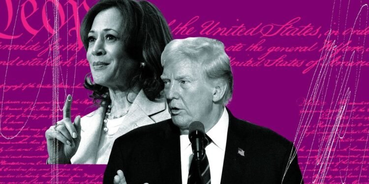 Misleading โpro-Harrisโ texts are bombarding swing state voters