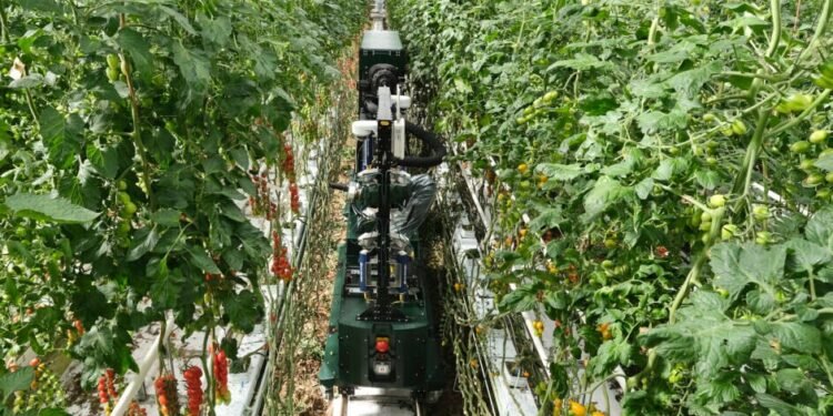Four Growers Secures $9M Series A to Revolutionize Greenhouse Farming with AI and Robotics