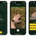 Move Away From Your Phone and End Mindless Doomscrolling With Touch Grass