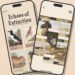 One of the Best Puzzlers of 2025, The Art of Fauna, Receives Great Update for Earth Day