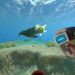 A World of Wonder and Peril Awaits in the Underwater Adventure Subnautica